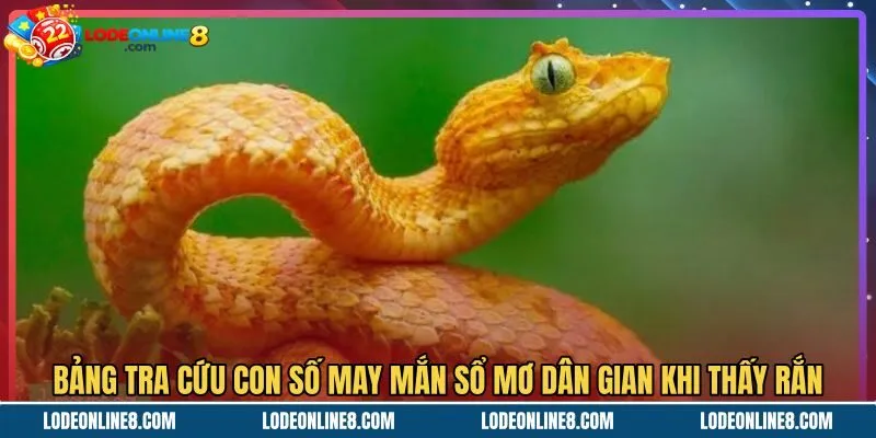 Bảng tra cứu con số dân gian khi mơ thấy rắn