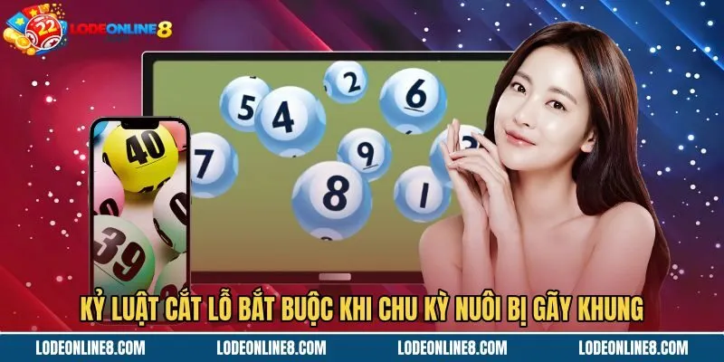 Nguyên tắc cắt lỗ dứt khoát khi chu kỳ nuôi gãy khung