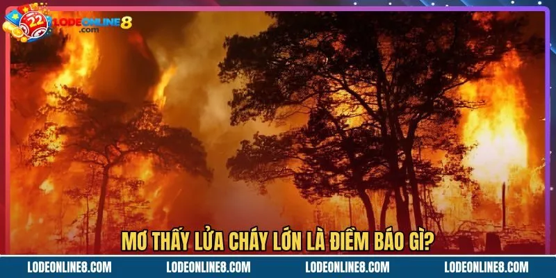 Mơ thấy lửa cháy lớn cùng thông điệp phong thủy tài lộc