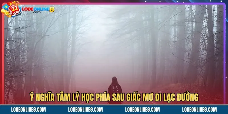 y-nghia-tam-ly-hoc-phia-sau-giac-mo-di-lac-duong Mơ thấy đi lạc đường và thông điệp tâm lý tiềm thức